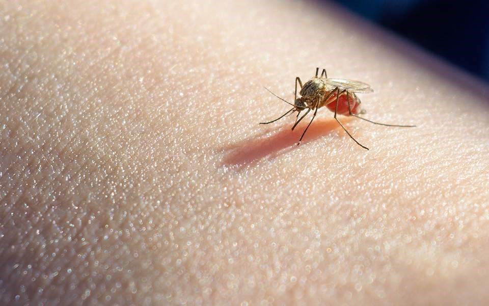 Συνολικά 14 περιστατικά στην περιοχή της Θεσσαλίας
